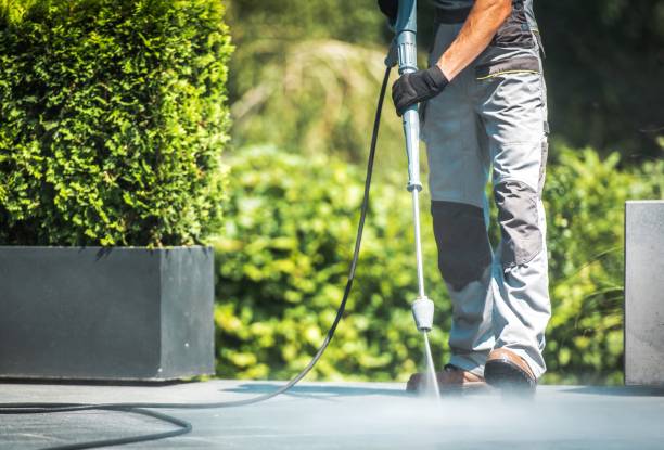 Best Animal Enclosure Cleaning  in Perry, GA
